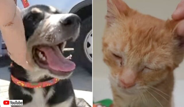 20221018_191237_batch