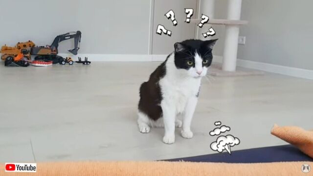 20230318_111856 (2)_batch