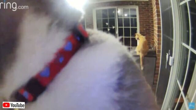 20231213_074243 (4)_batch