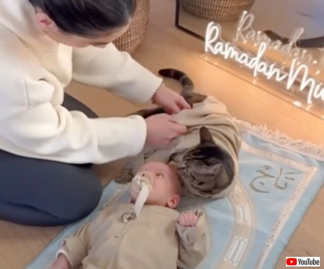 20240318_004757 (3)_batch