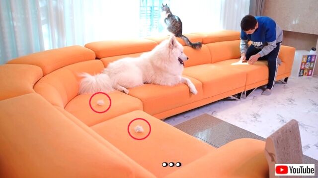 cleaning0_640