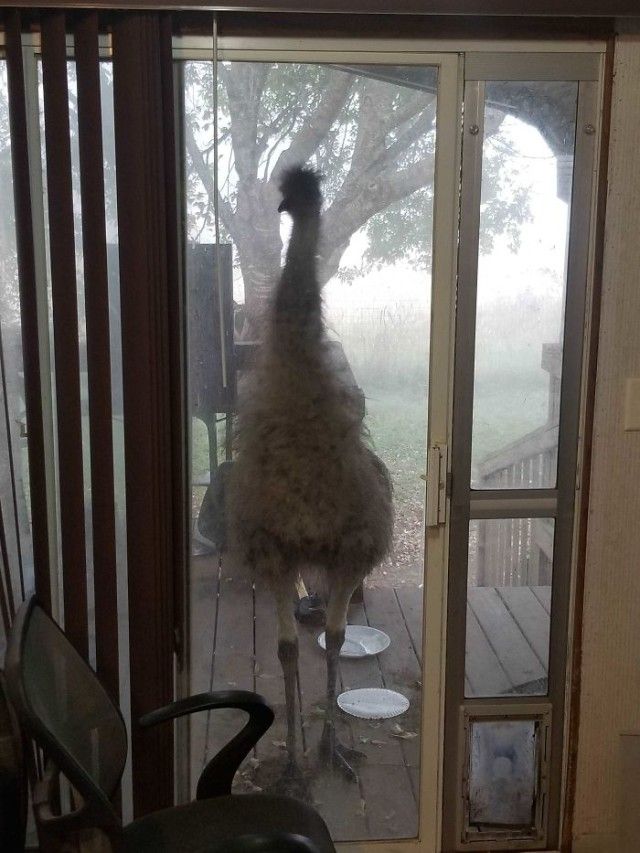 visitingwindows3_e