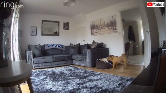 20220401_194120 (7)_batch