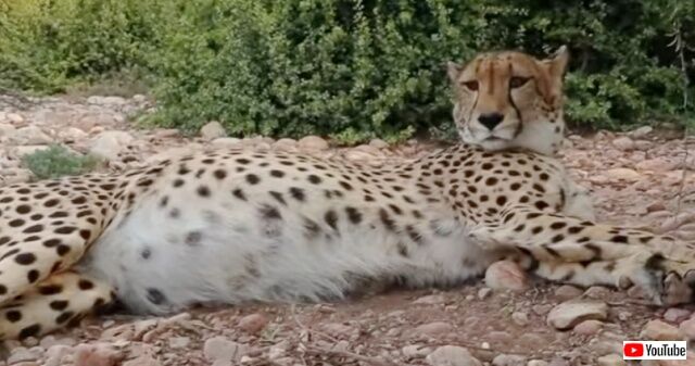 20230107_034135 (2)_batch