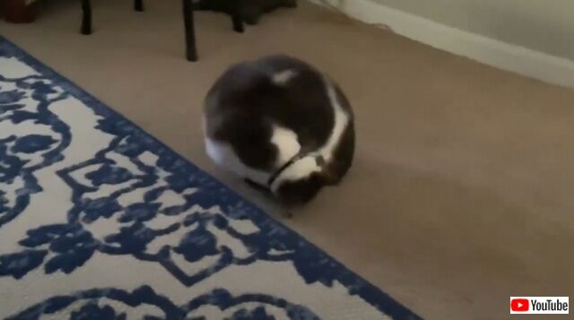 20220707_004455 (3)_batch