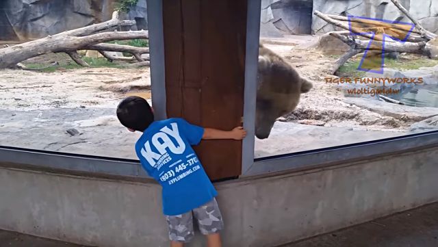 funnyanimals4