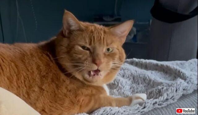 20220606_015620 (2)_batch