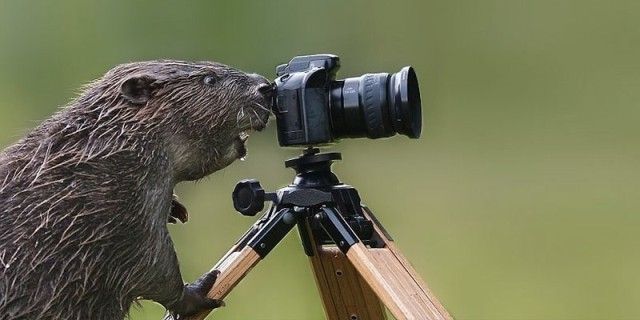 photographers7_e