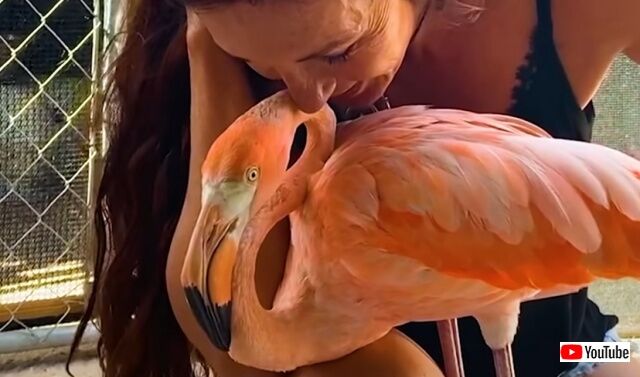 20220603_184923_batch