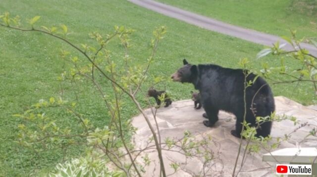 20230429_170106_batch