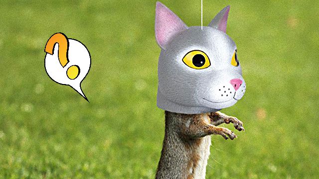cat-head-squirrel-feeder_ea