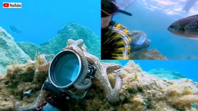 20230804_023804 (7)_batch