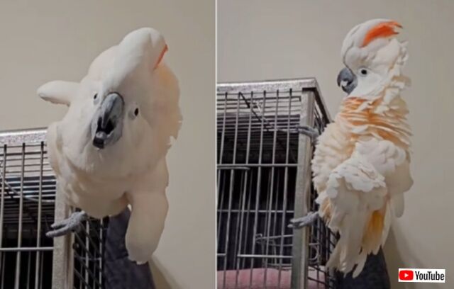 20230925_051000_batch