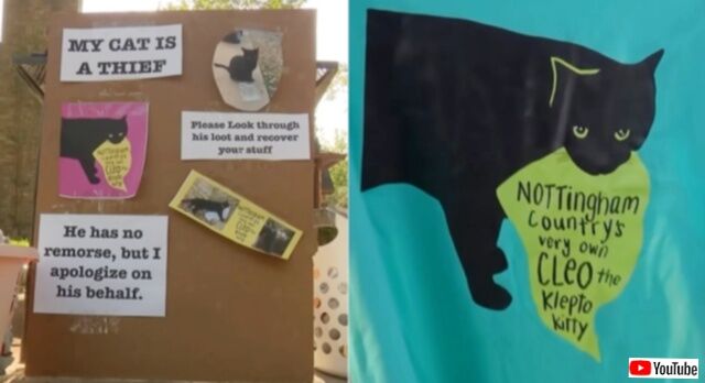 20230916_180800_batch