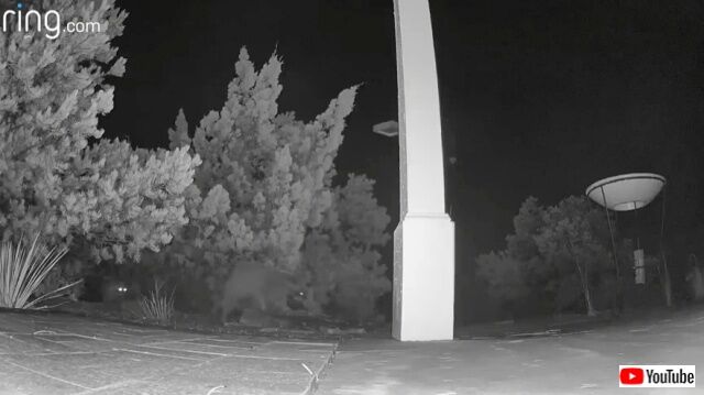 20221011_022002 (5)_batch