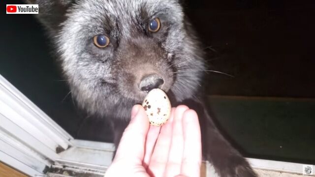 20220408_005257 (3)_batch