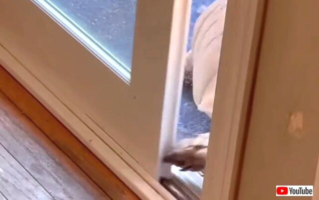 opensdoor1_640