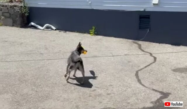 20220522_045718 (5)_batch