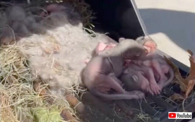 20240113_114913 (8)_batch