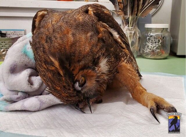 401442734_763099345853410_1058432900277819355_n_e