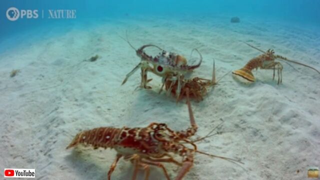 20231129_114839 (3)_batch