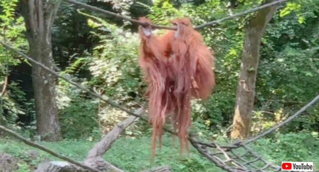 20231020_220531 (3)_batch