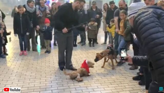 20230726_080408 (5)_batch