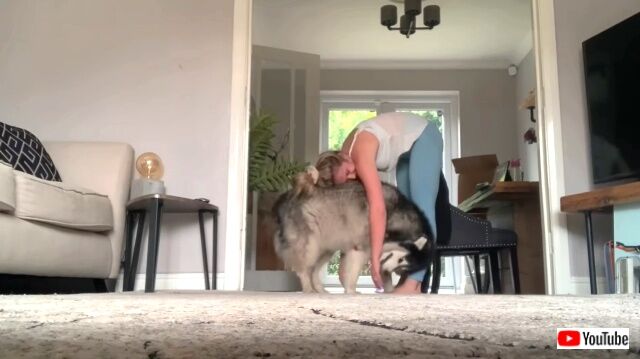 exercisingwithdog5_640