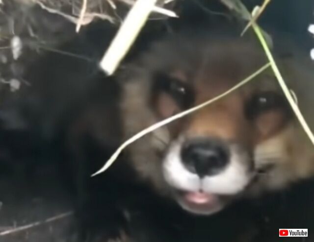 20220519_111602 (6)_batch