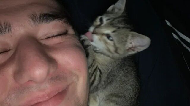 「子猫を保護しました。今となっては大親友」子猫と一緒に写真を撮影した男性はやっぱりヒゲが生えているっぽい