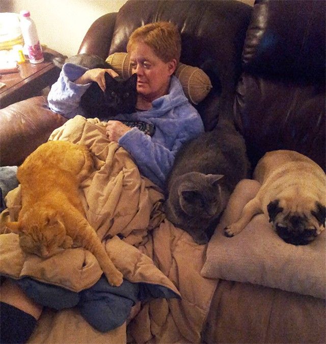 living-with-multiple-pets-user-submissions-4