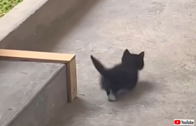 20230802_001309 (3)_batch