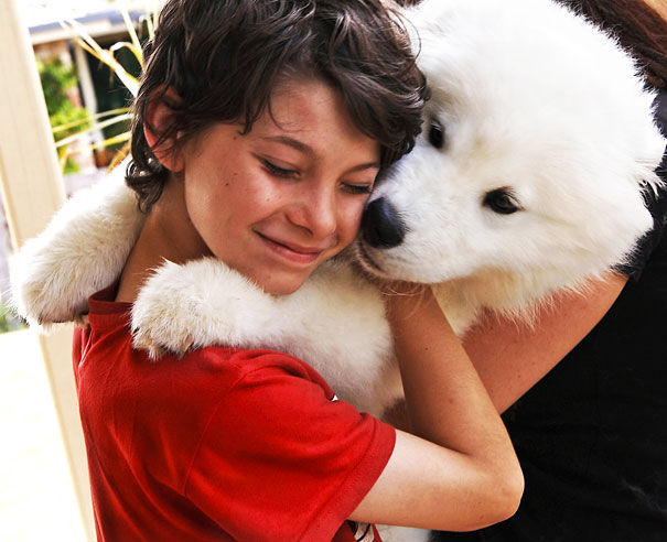 cute-dogs-hugging-humans4