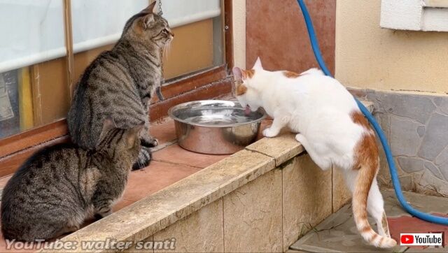 20221213_193926 (6)_batch