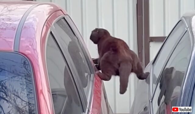 20221016_182127 (2)_batch