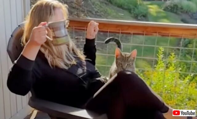 20231018_191023_batch