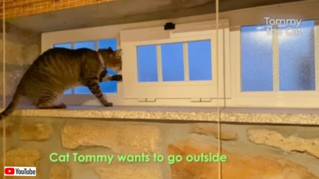 20230606_073801_batch