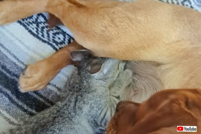 20230916_115538 (6)_batch