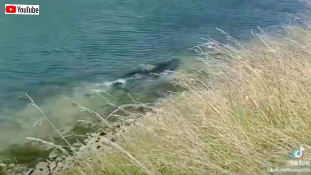 20240302_043651 (5)_batch