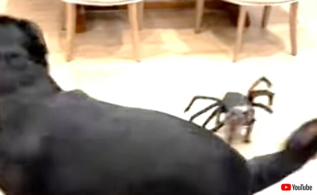 20221003_010805 (3)_batch