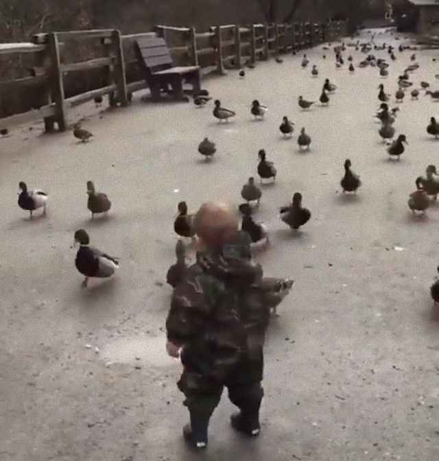 duckapocalypse3_e