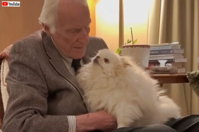 20230415_131154 (11)_batch