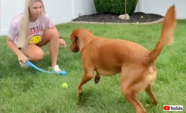 20231011_210143 (2)_batch