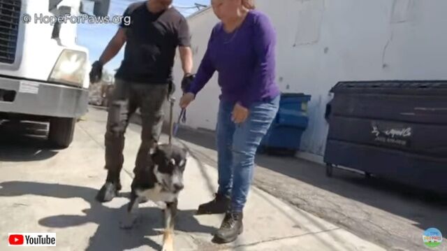 20221018_191235 (3)_batch