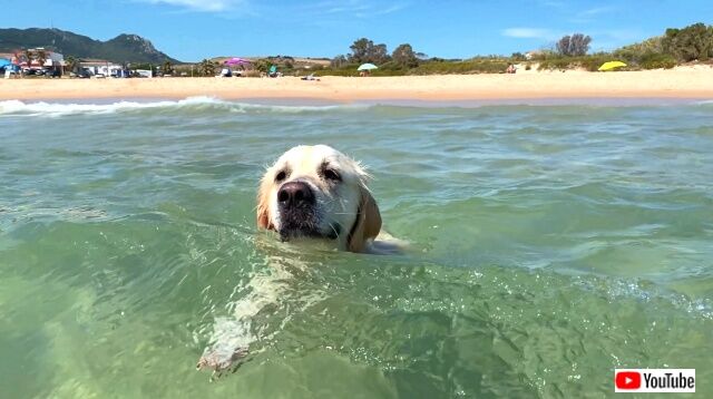 baileyonthebeach6_640