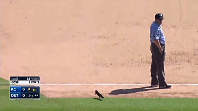 MLB14