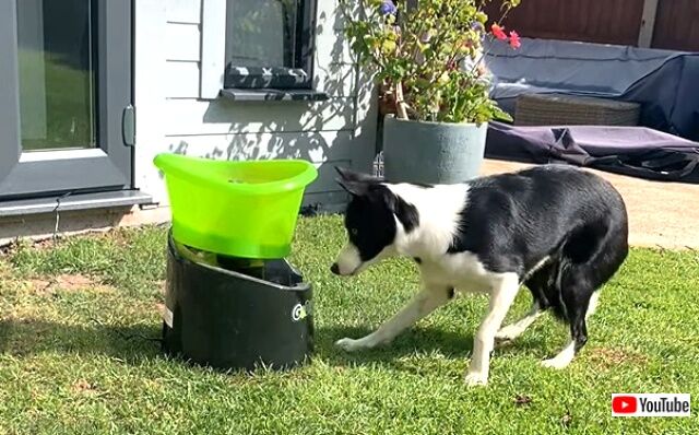 fetch2_640