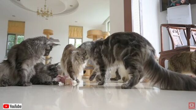 20230107_180517 (5)_batch