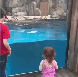 funnyanimalsnkids