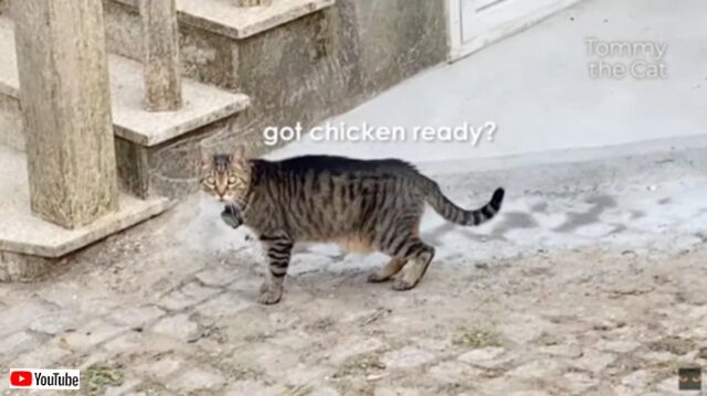 20230606_073801 (7)_batch